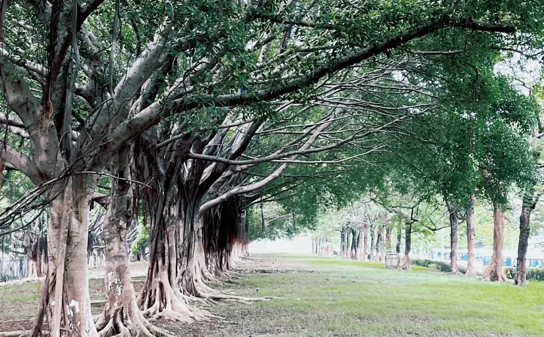 广交会展馆/建筑是城市文化重要组成部分