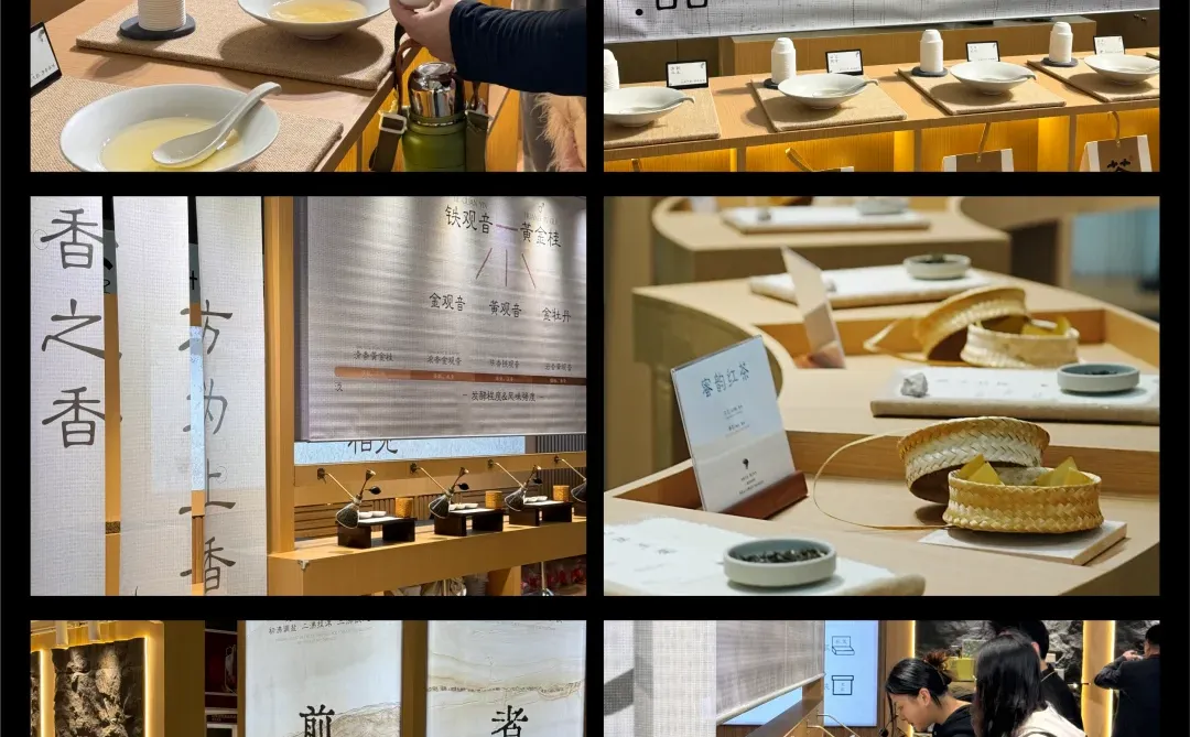 深圳 Hotelex |墨赞茶业，赴一场本味之约