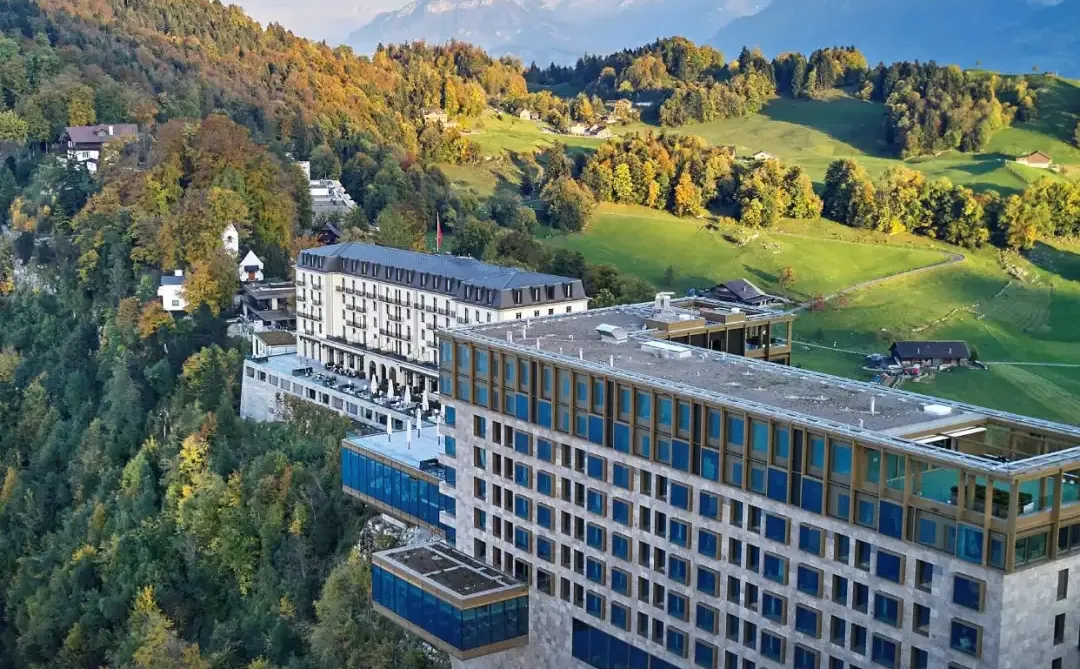 2025立鼎世盛会，年度成员大奖花落谁家？