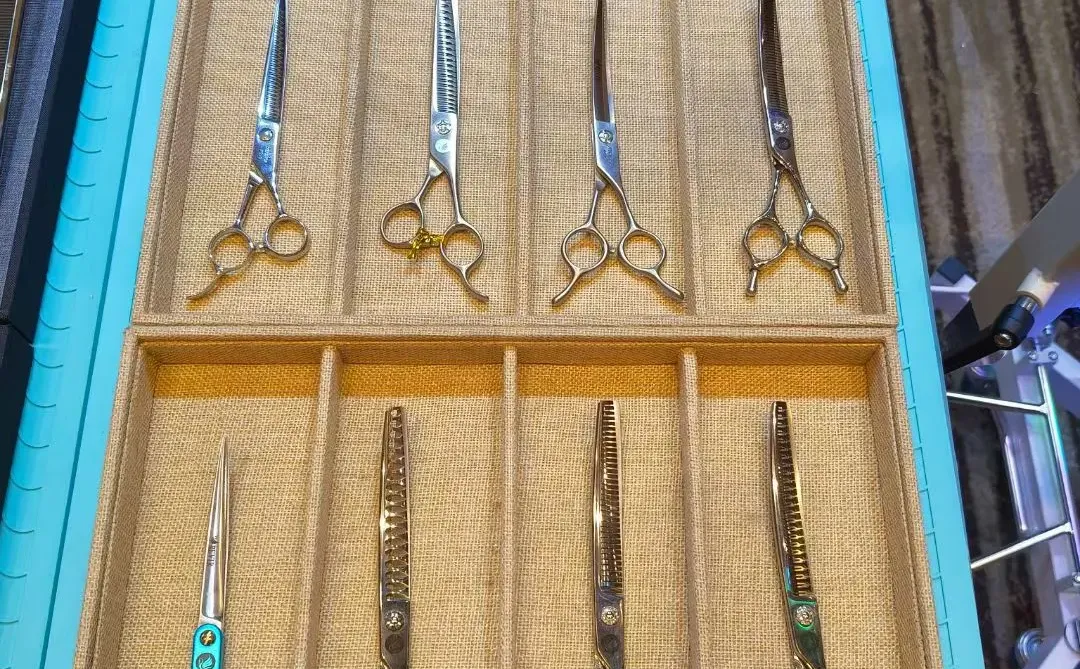 2025宠业门店零售创新大会 今天在广州开启