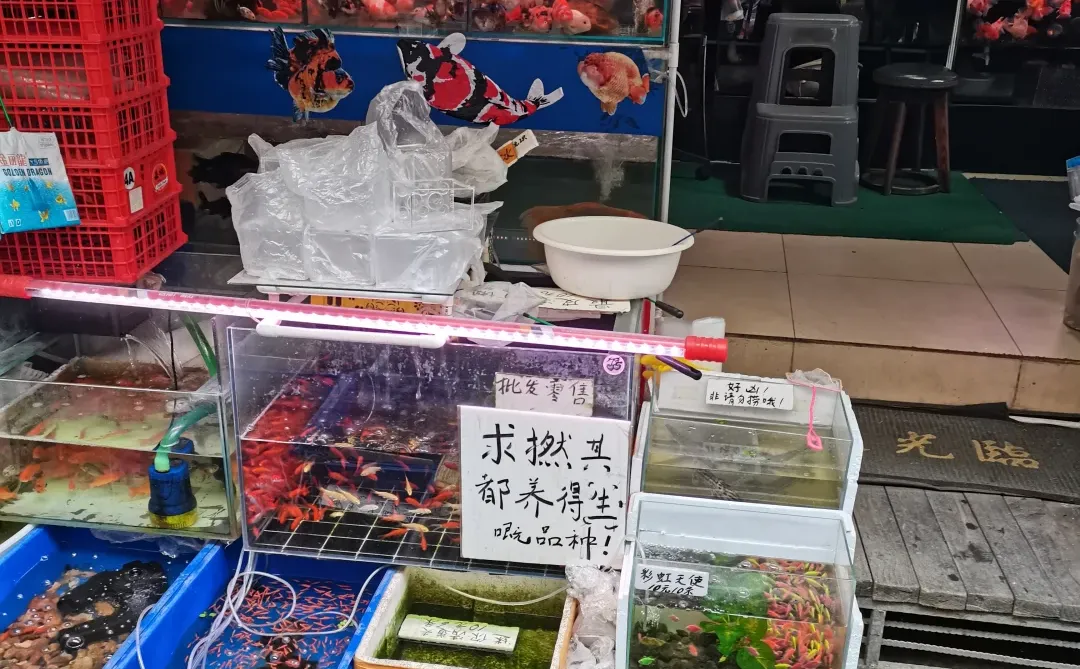 带着宝宝来Yakult打卡啦～