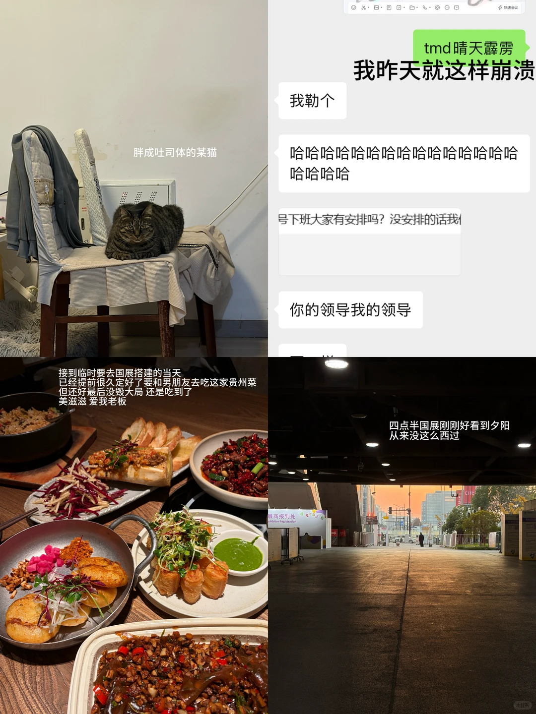 24外企管培轮岗期被裁plog｜进博会不算完了