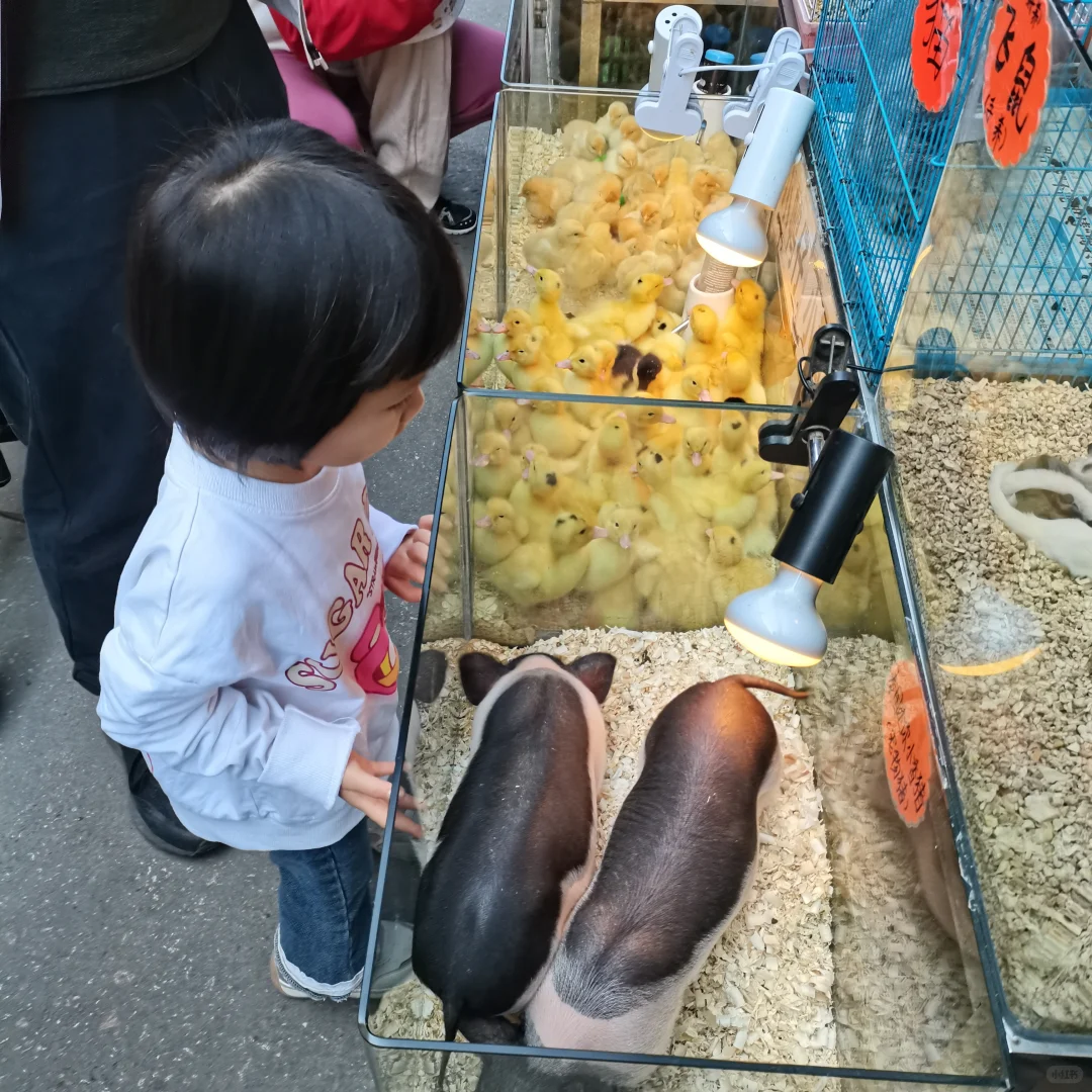 带着宝宝来Yakult打卡啦～