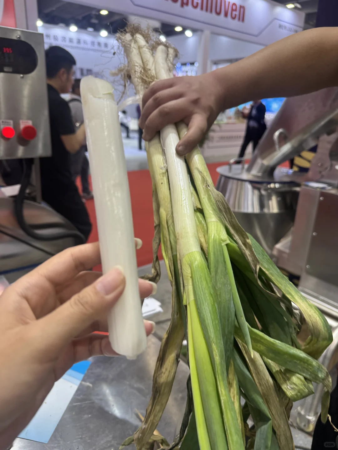 在酒店展做翻译可以吃到好多东西～