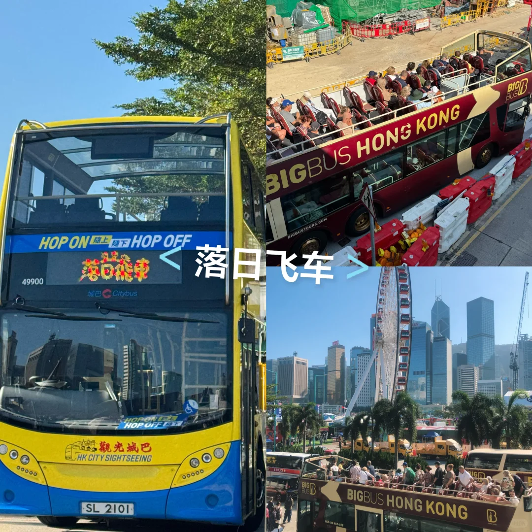 香港澳门五天四夜之香港篇｜快乐与疲惫并存