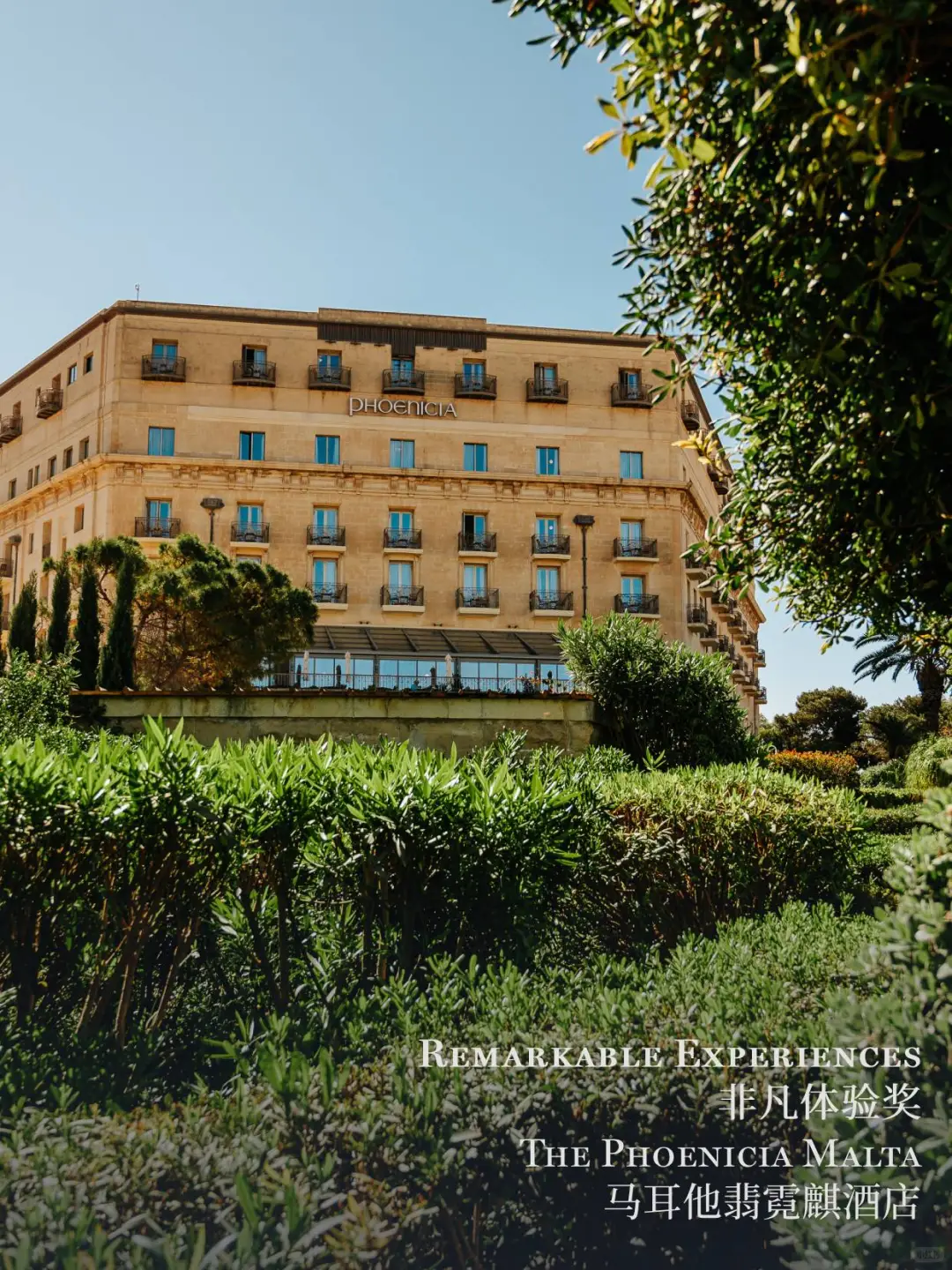 2025立鼎世盛会，年度成员大奖花落谁家？