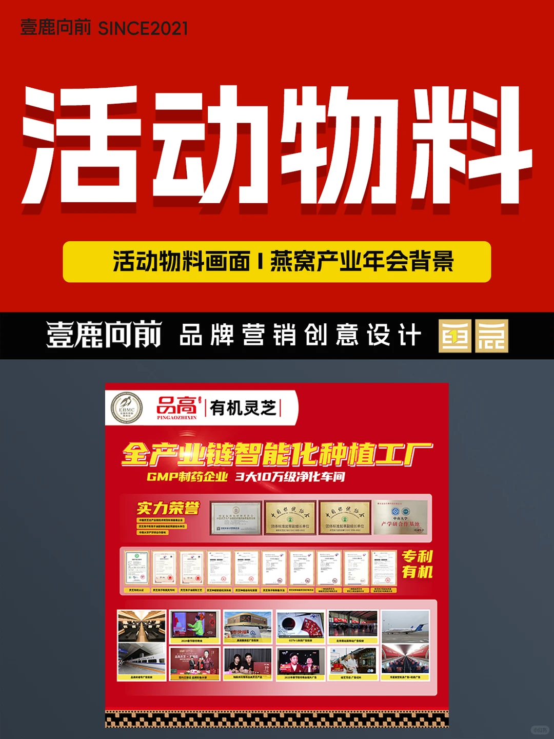 活动画面 I 燕窝产业年会 I 作品分享