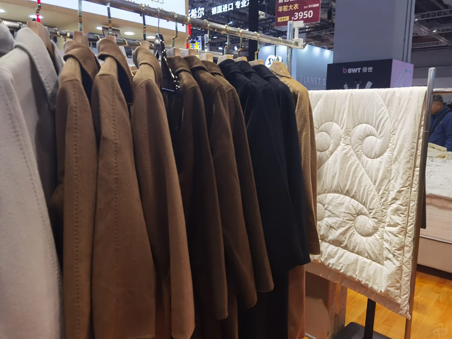 来进博会④馆买精品羊驼！