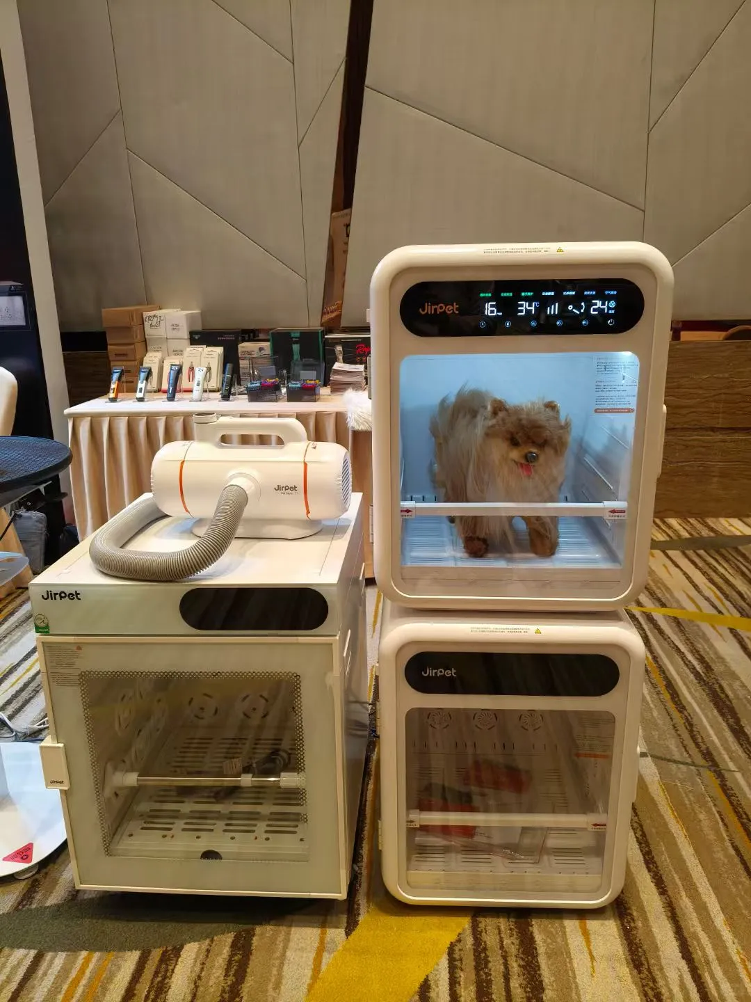 2025宠业门店零售创新大会 今天在广州开启