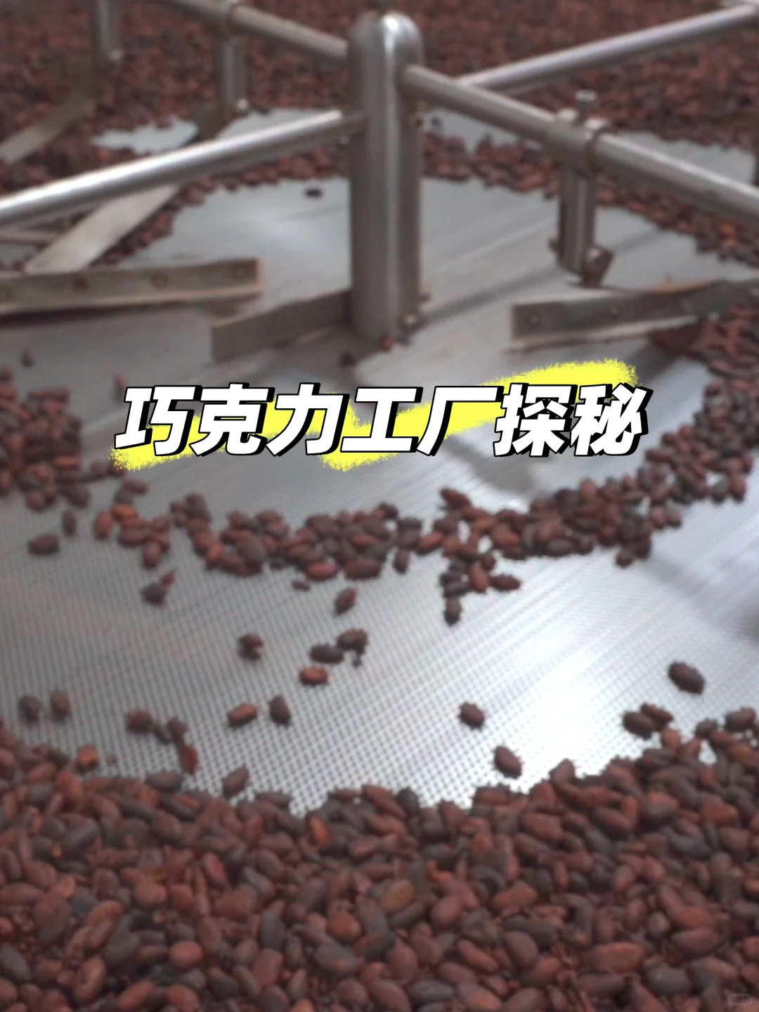 ㊙️好吃巧克力的秘密?巧克力工厂探秘啦！