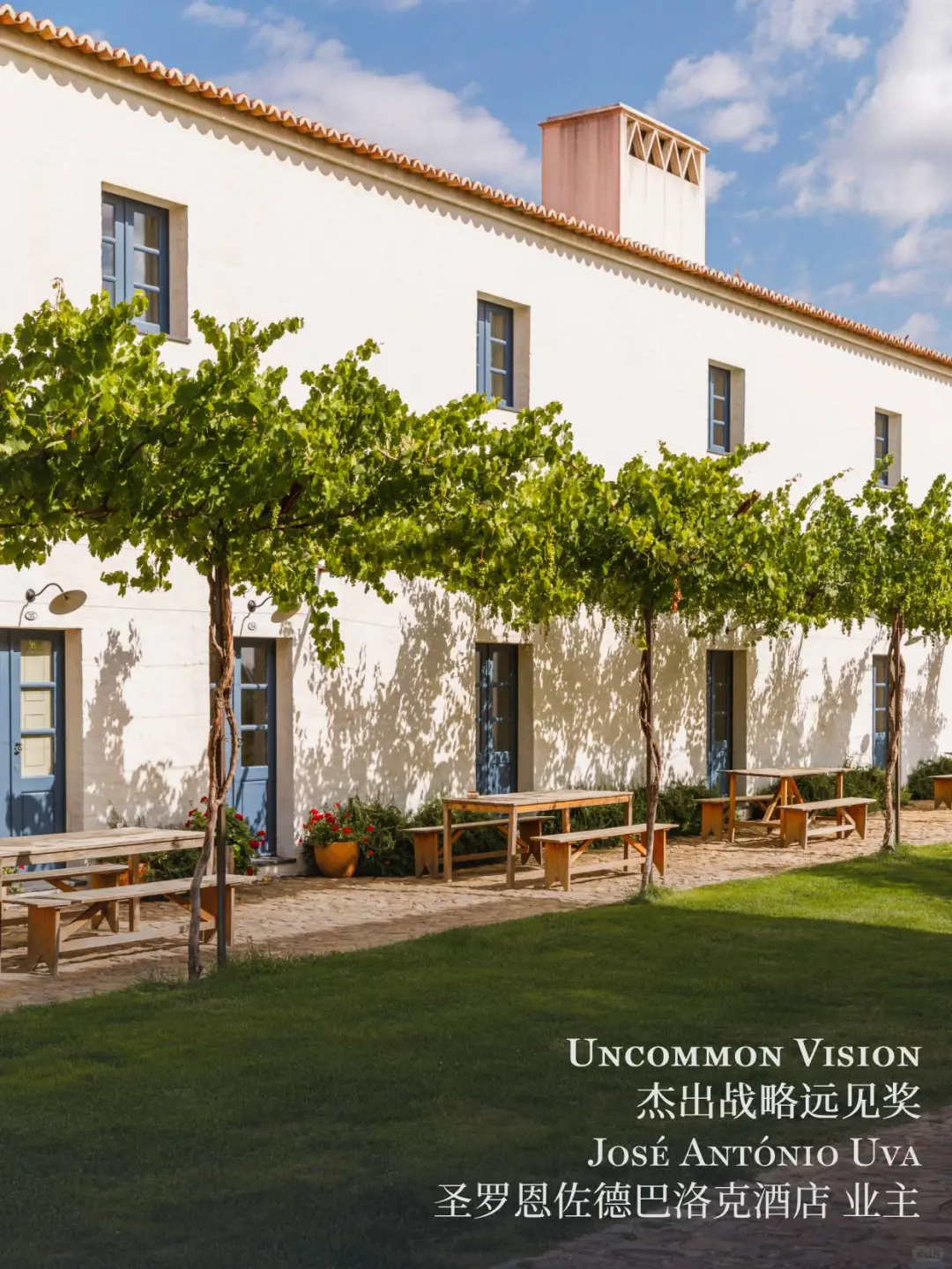 2025立鼎世盛会，年度成员大奖花落谁家？