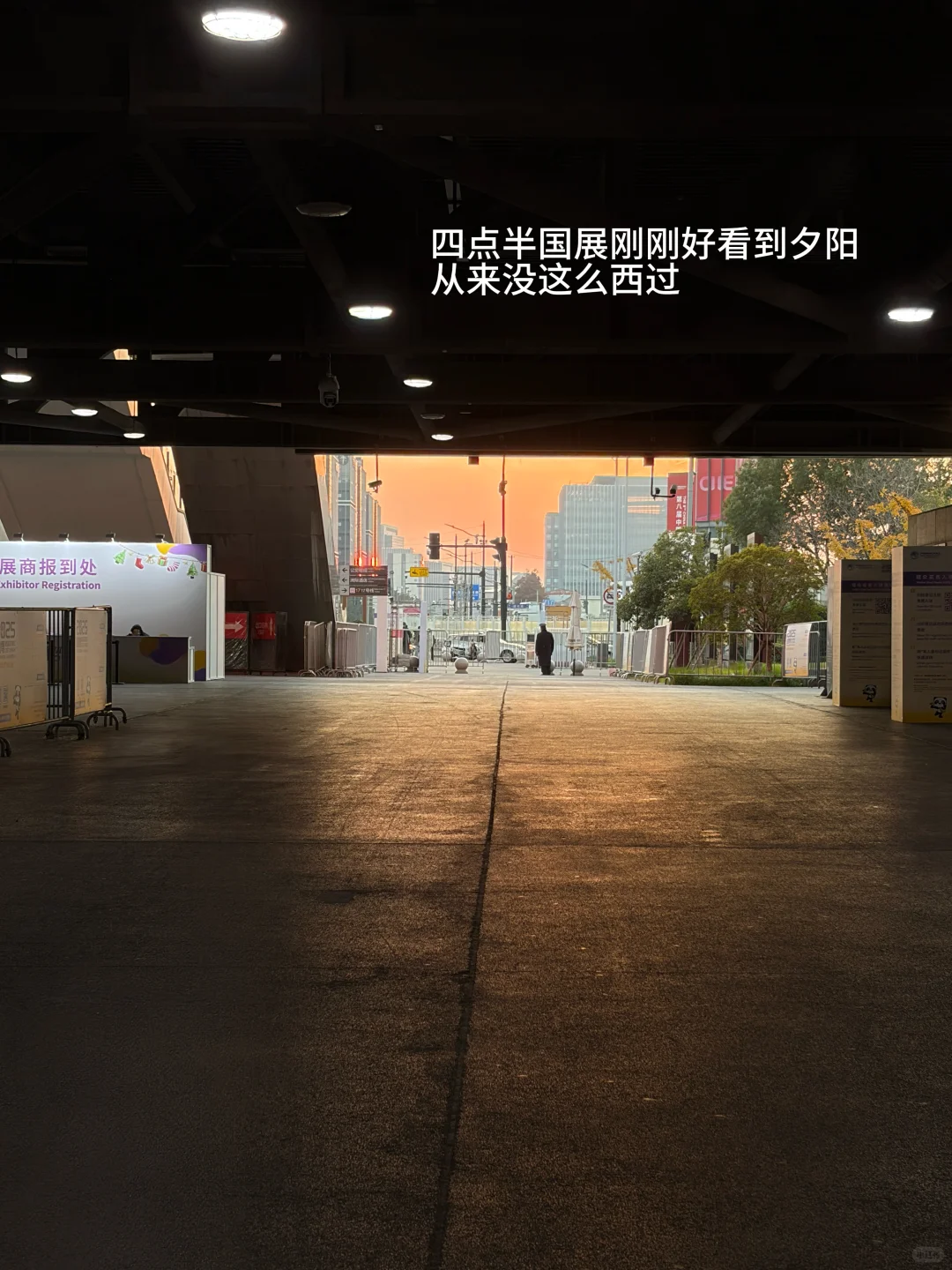 24外企管培轮岗期被裁plog｜进博会不算完了