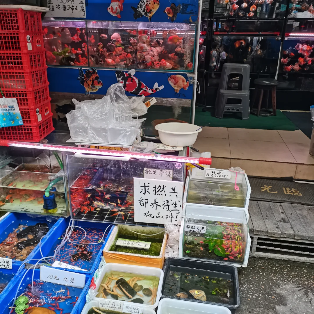 带着宝宝来Yakult打卡啦～
