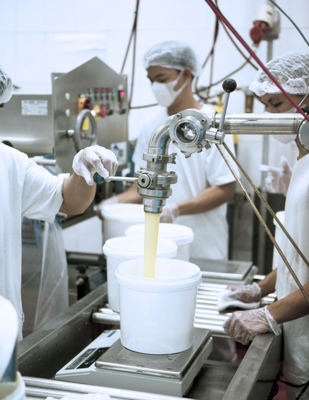 ㊙️好吃巧克力的秘密?巧克力工厂探秘啦！