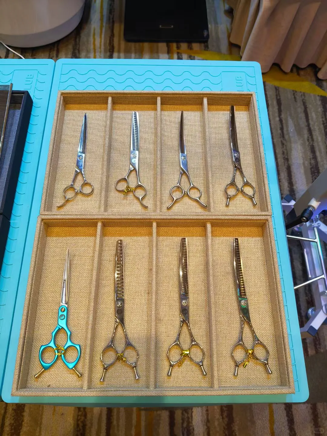 2025宠业门店零售创新大会 今天在广州开启