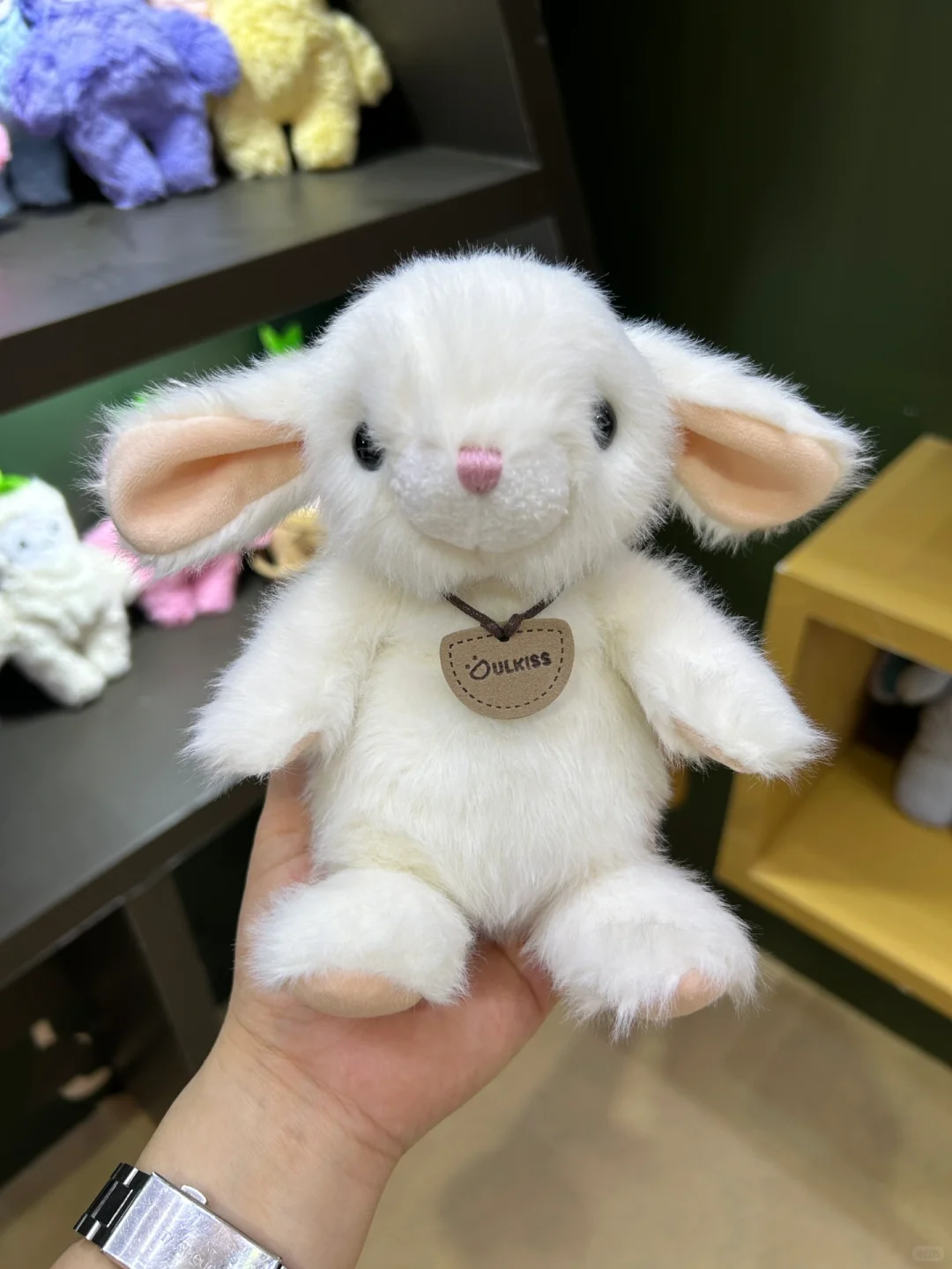 在广交会上有个老外居然花200元买这个玩偶！