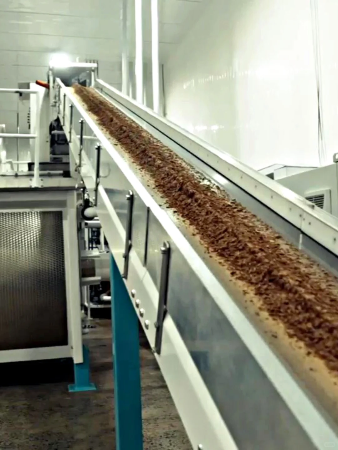 ㊙️好吃巧克力的秘密?巧克力工厂探秘啦！