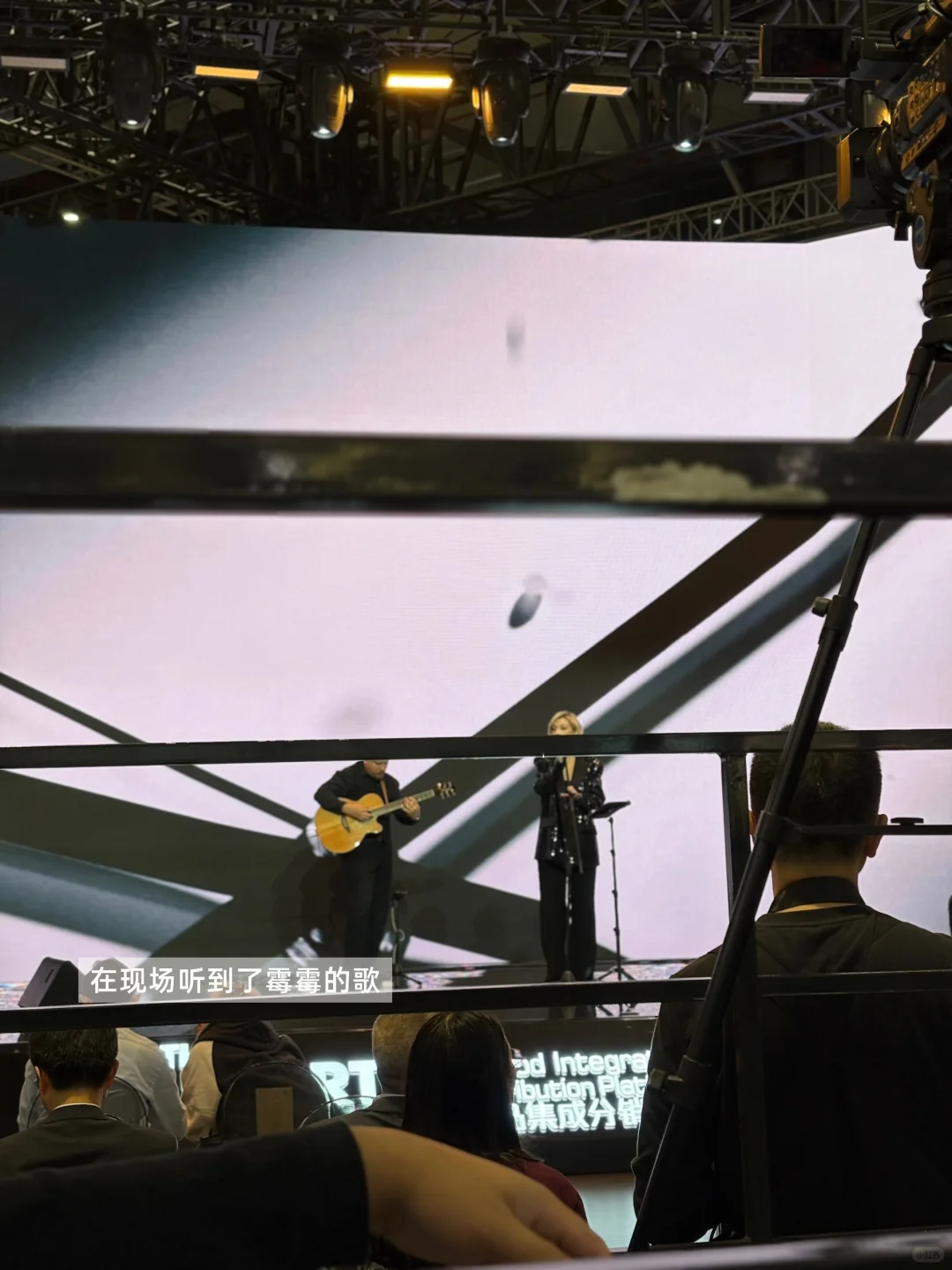 交交plog|在进博会当饕餮的周六