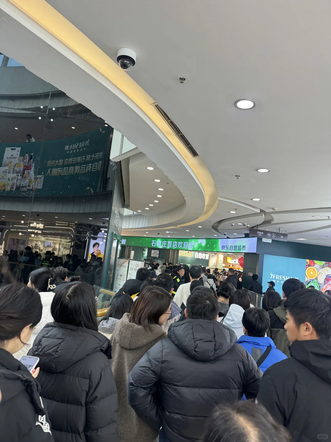 马上进场！！有啥必须要买的么