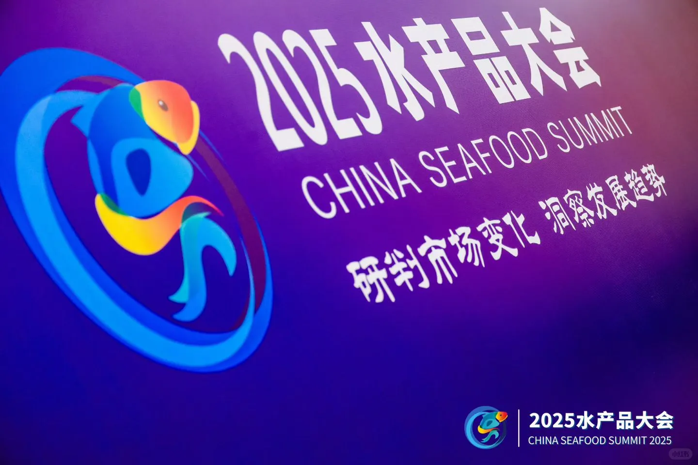 2025水产品大会云摄影实录?
