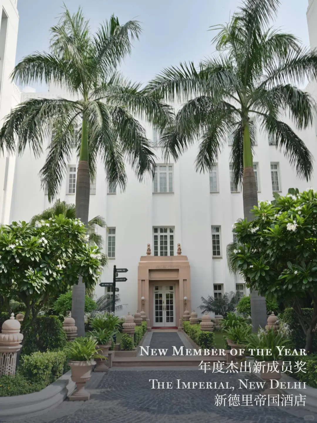 2025立鼎世盛会，年度成员大奖花落谁家？