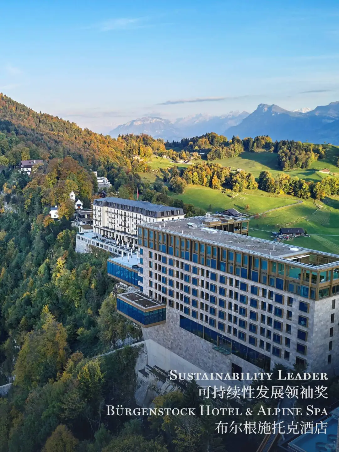 2025立鼎世盛会，年度成员大奖花落谁家？