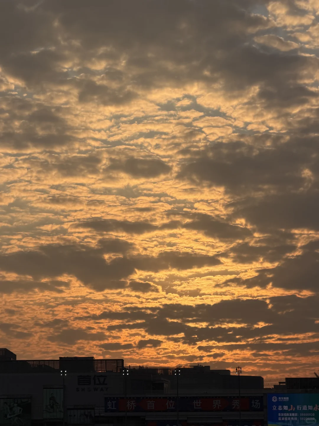 上海｜小进博会来啦！第一天的薅羊毛攻略✌️
