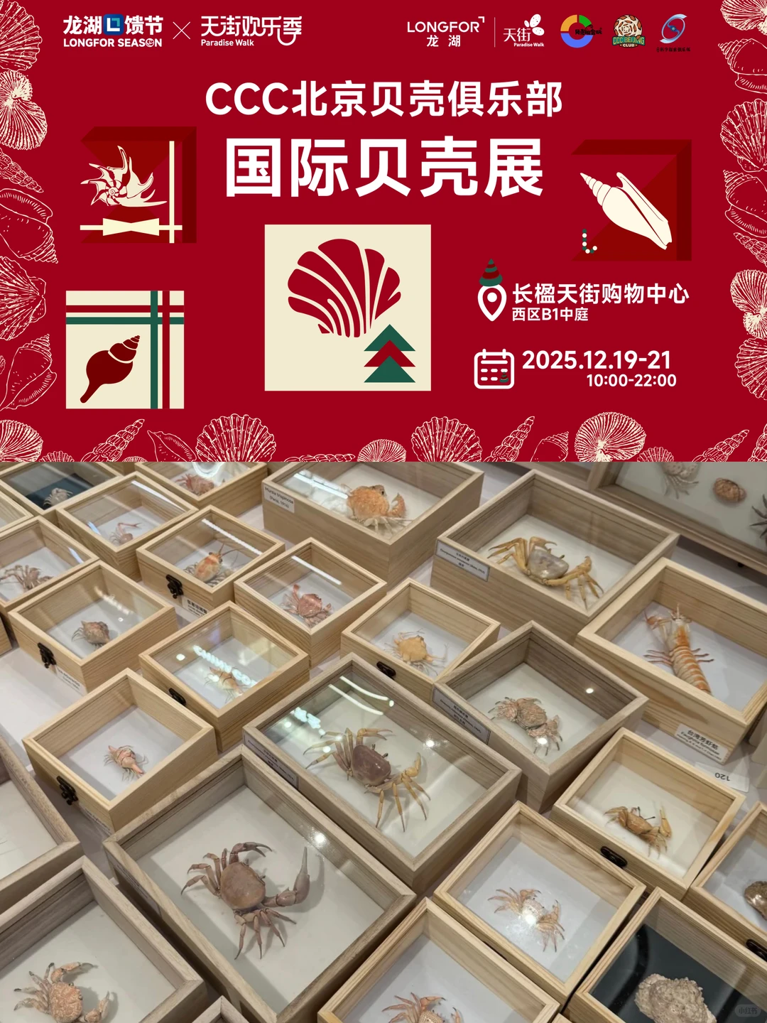 CCC北京贝壳俱乐部·国际贝壳展 12月19-21日