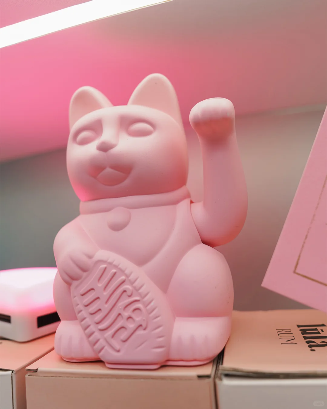 ✨2025中国进博会，卢拉展台?圆满收官✨