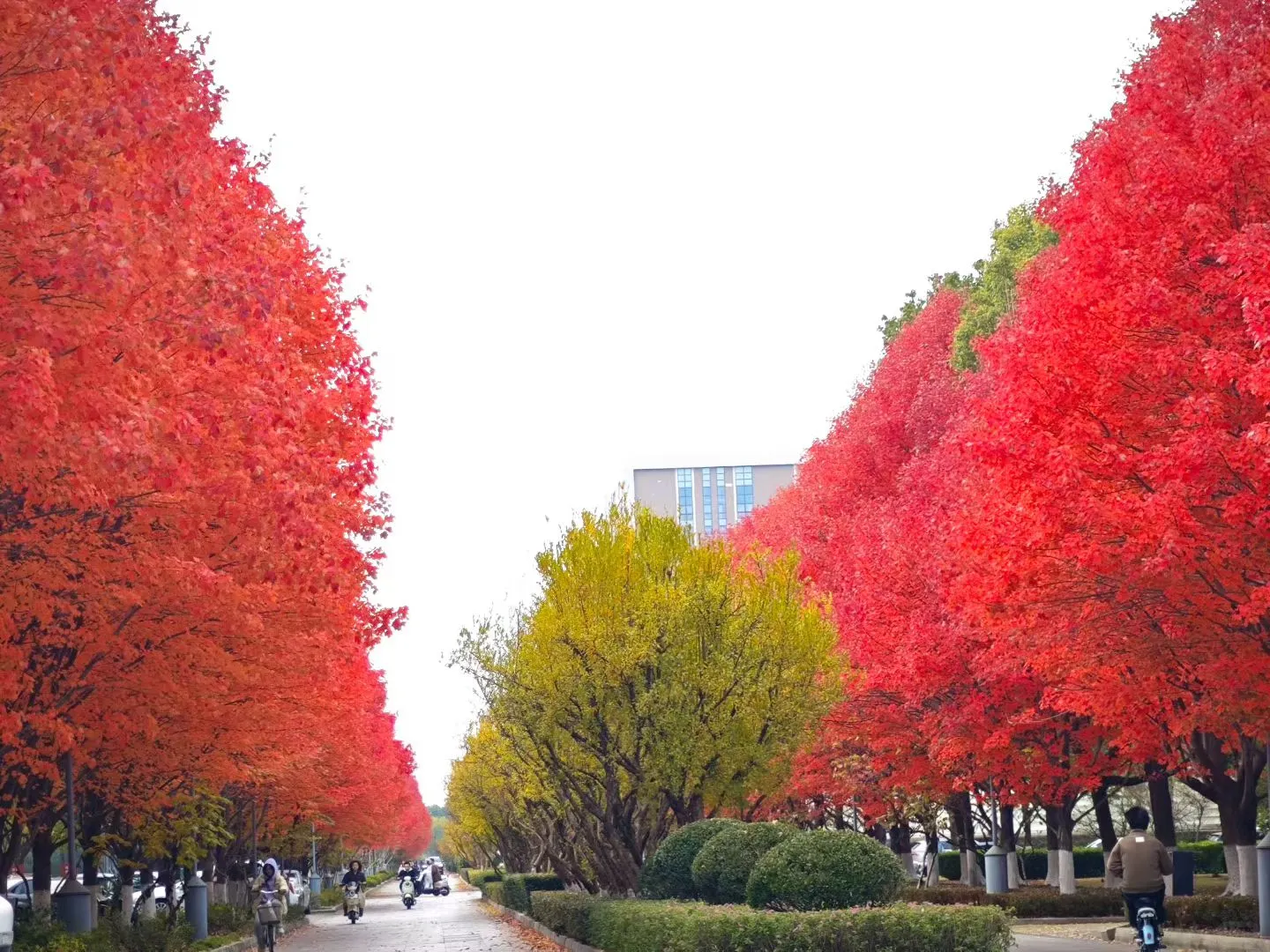 SAPA-CT最强年会明天正式开始!小板凳坐好!