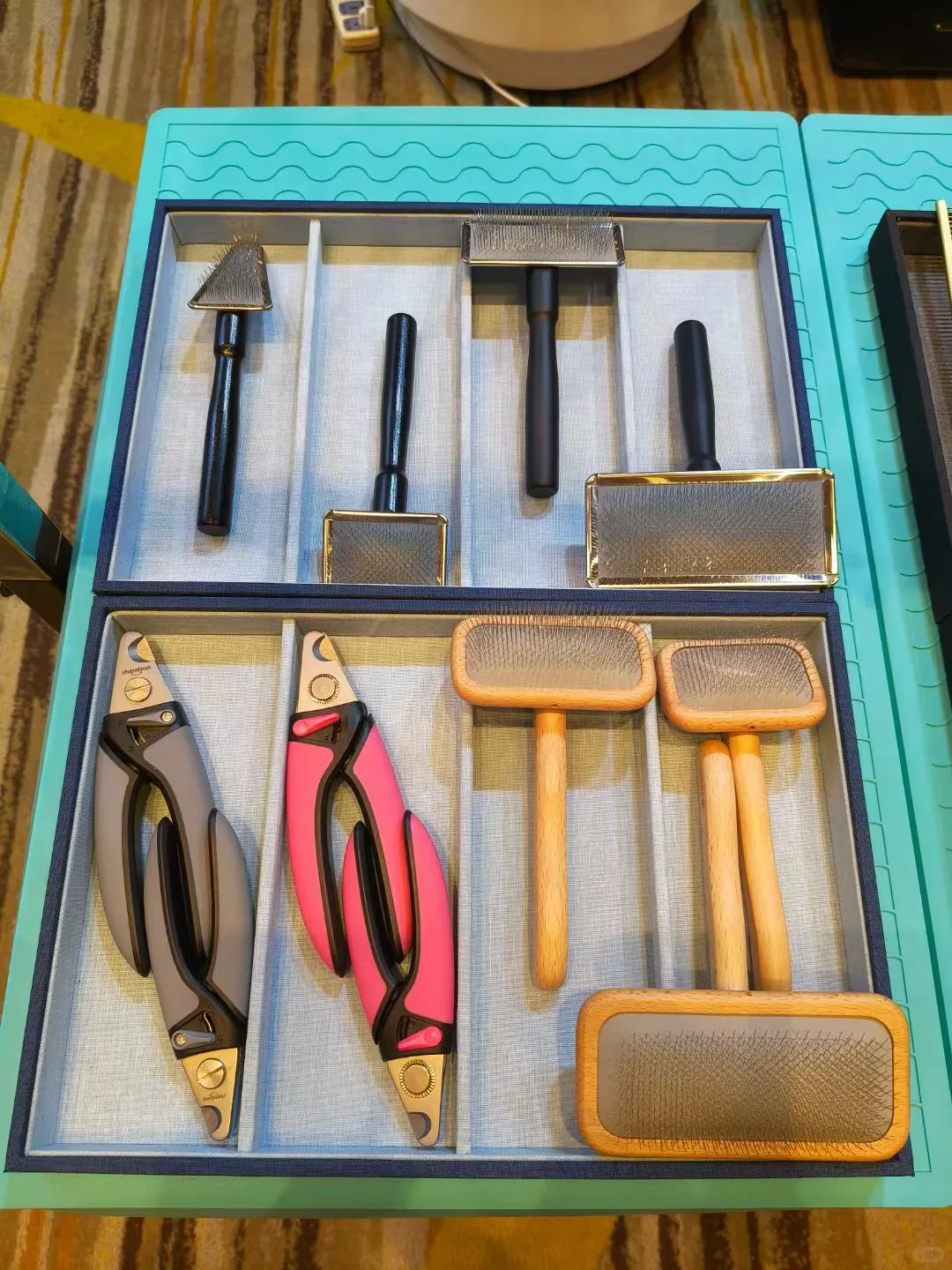 2025宠业门店零售创新大会 今天在广州开启