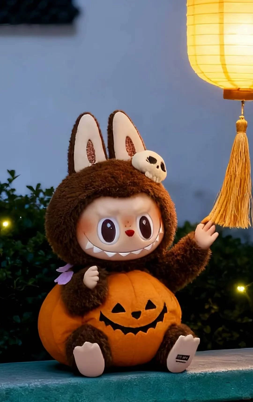 Winter solstice冬至