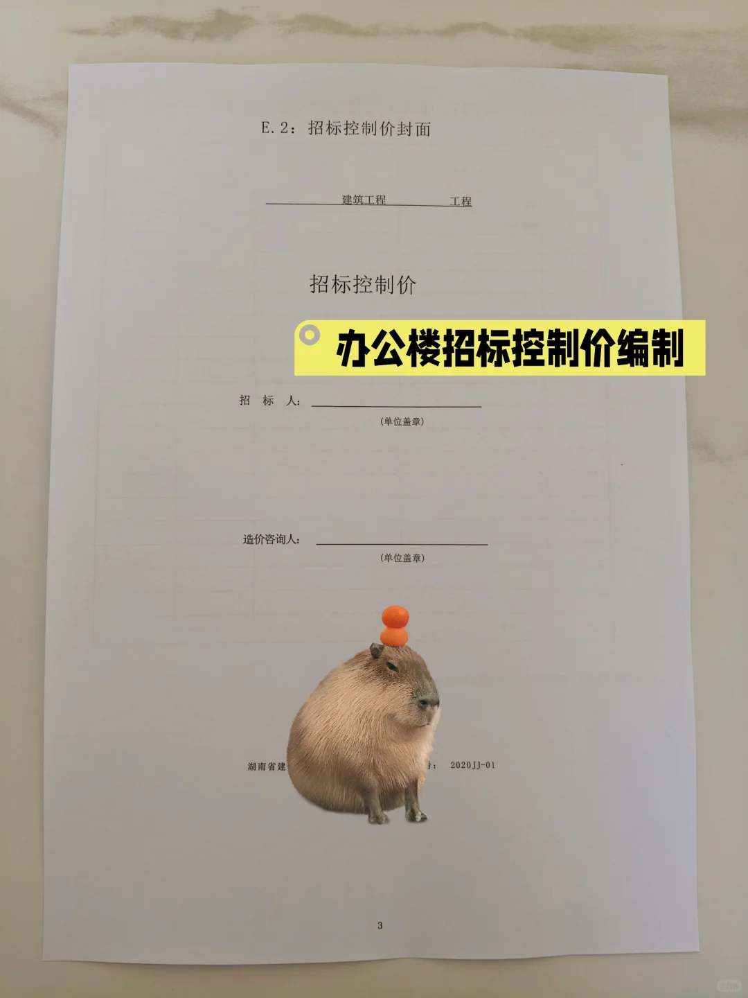 不装了，我的办公楼招标控制价编制完成了！