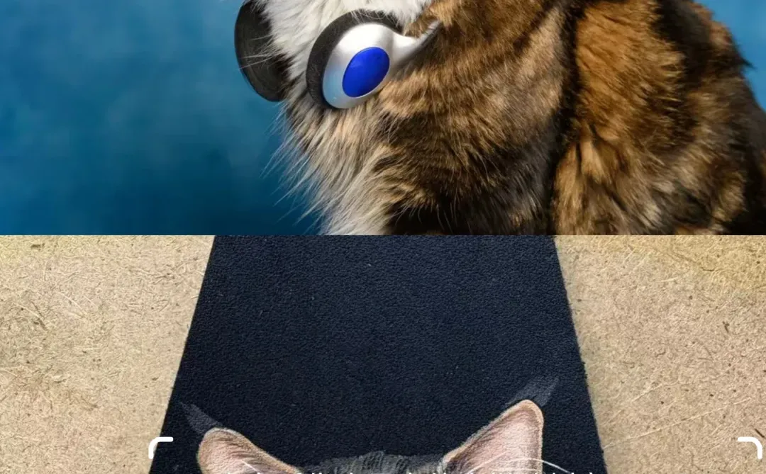 我们不仅仅是外贸供货商，也做个人定制