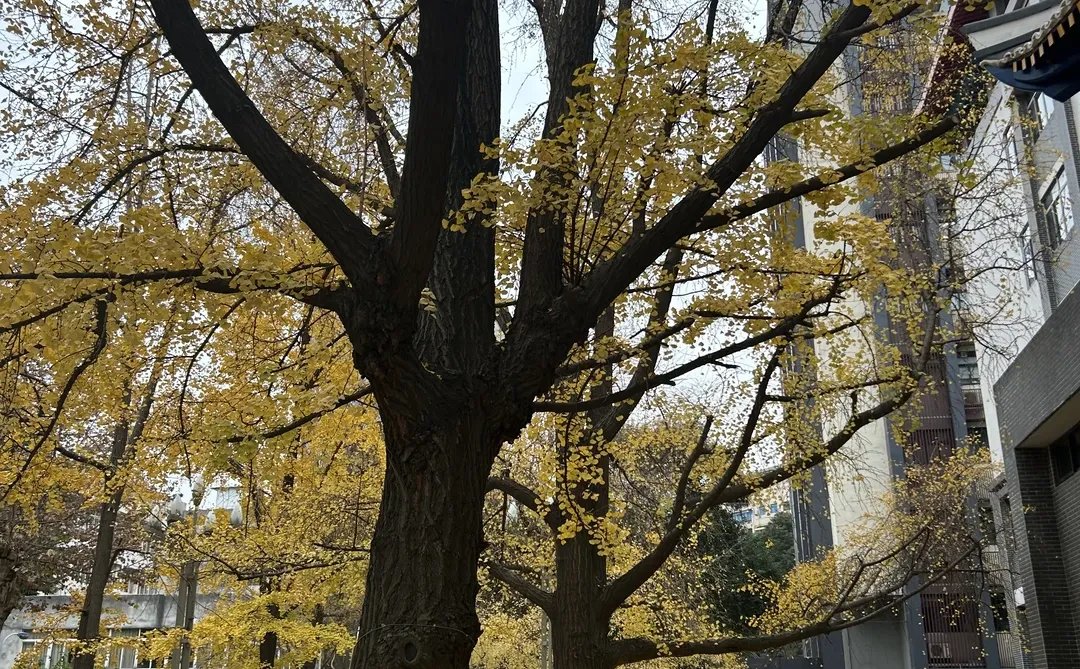 第一次参加设备招标，又长了见识