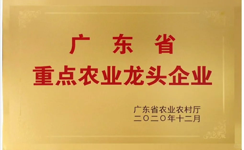 政府采购，工程项目。招标投标有它就足够了
