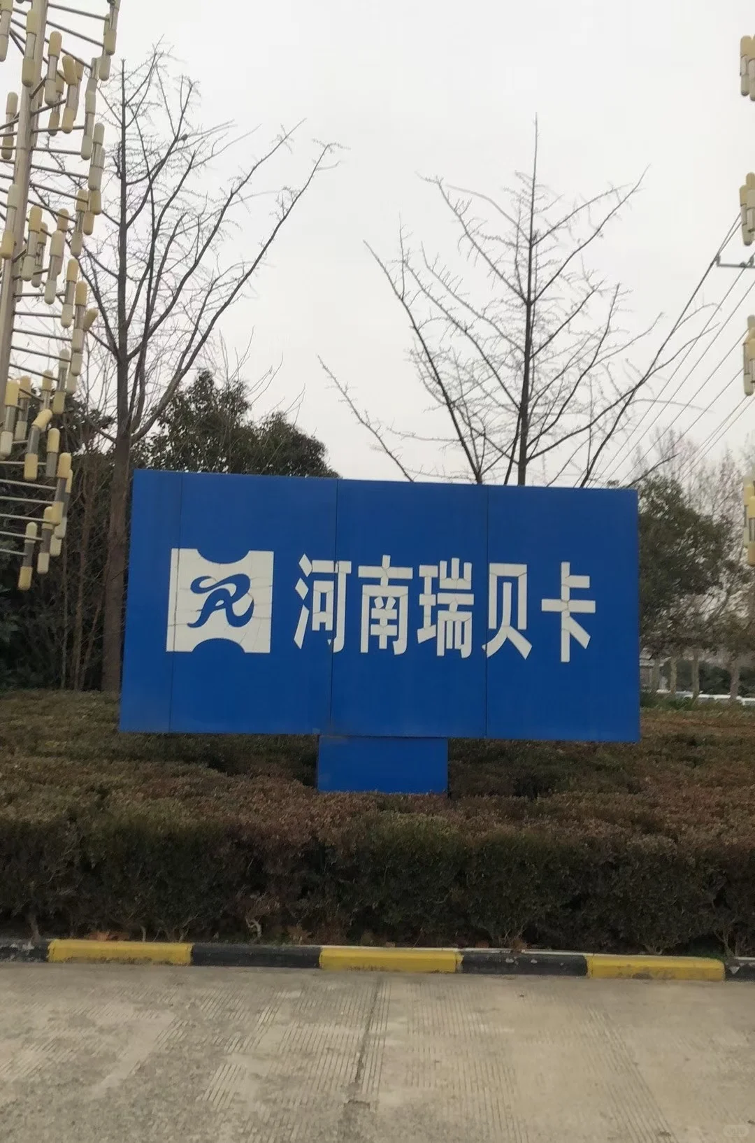 调研上市公司：瑞贝卡