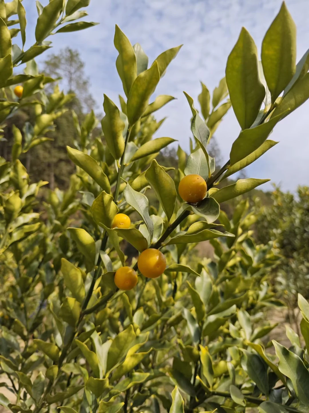 ?绝了！外贸新人秒get获客抄作业秘籍