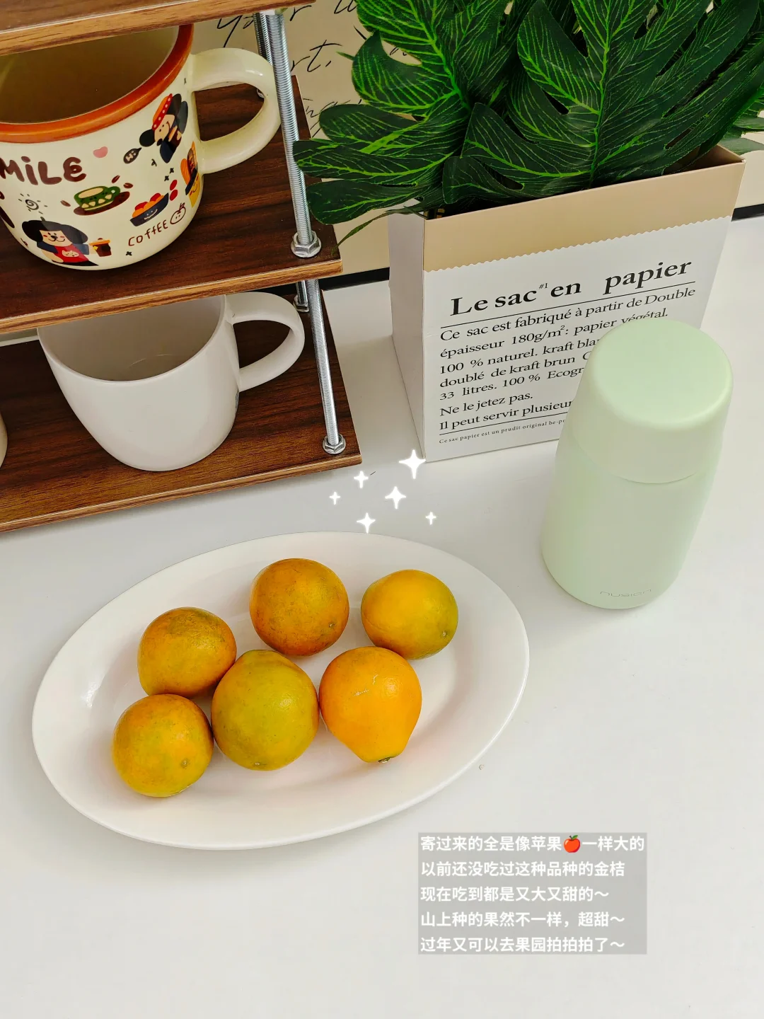 ?绝了！外贸新人秒get获客抄作业秘籍