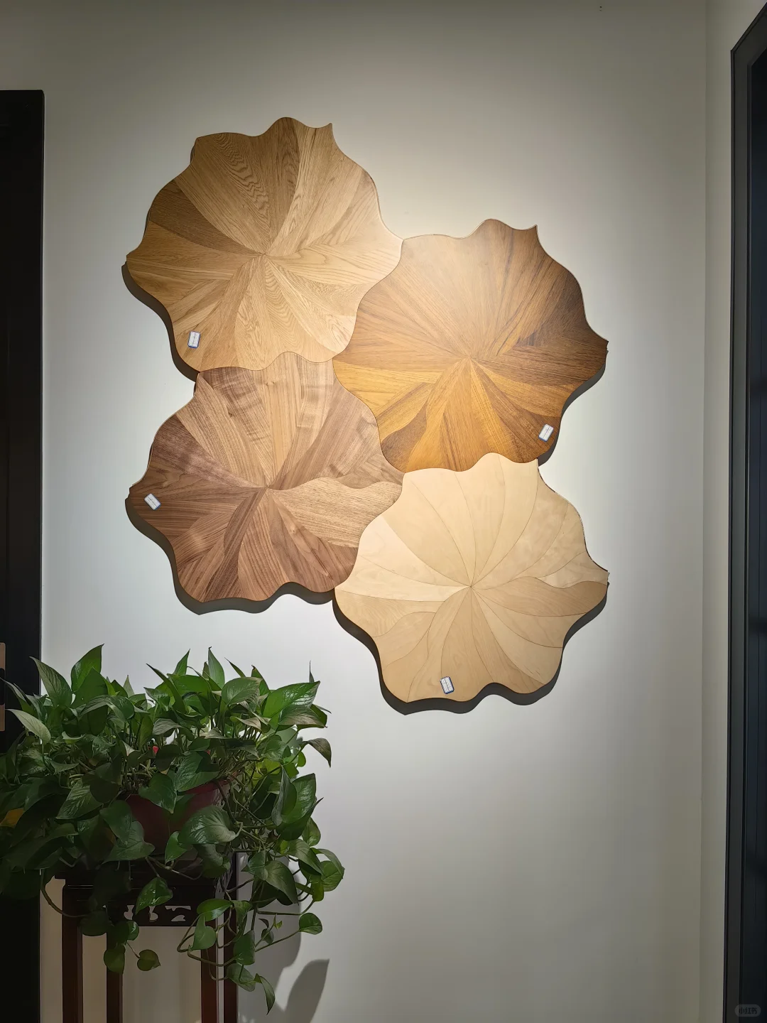 这家老板太实在了，吹牛都不会