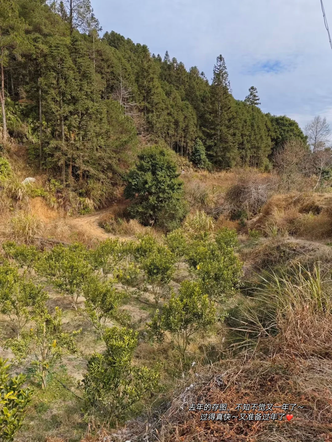 ?绝了！外贸新人秒get获客抄作业秘籍