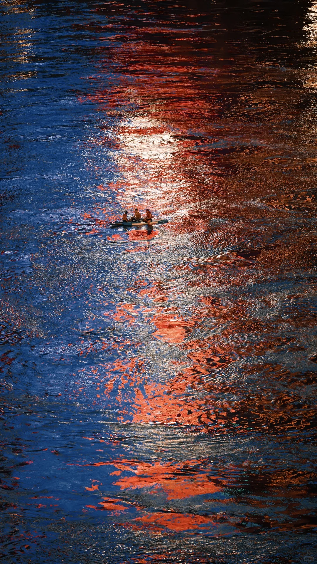 2025|星光会说话。