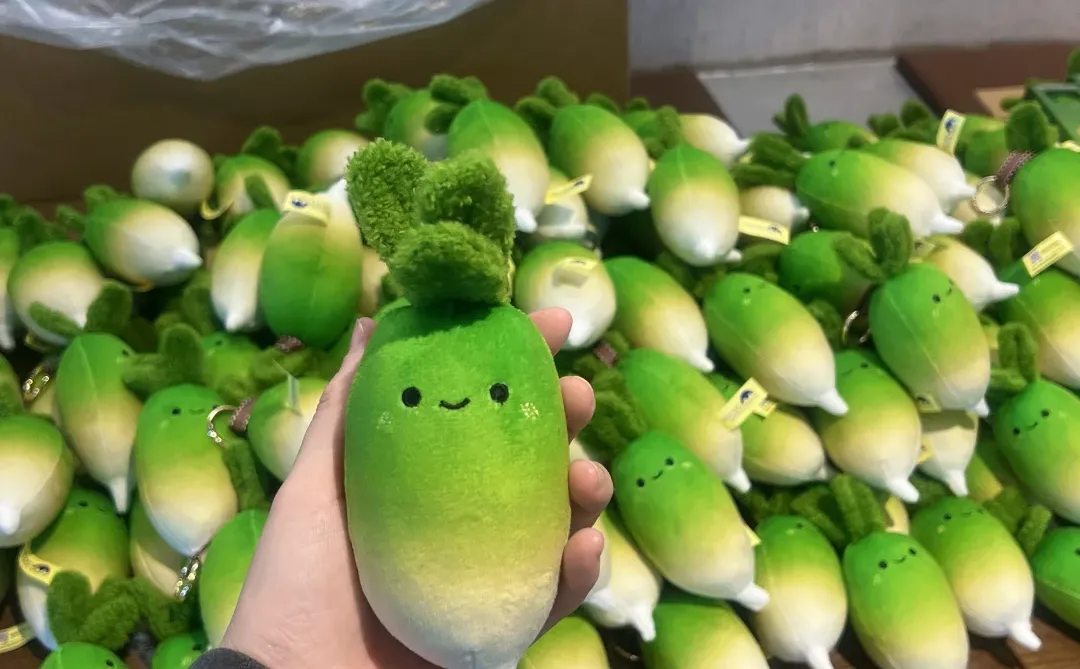 算了，跟你们没有小萝卜的说不清楚