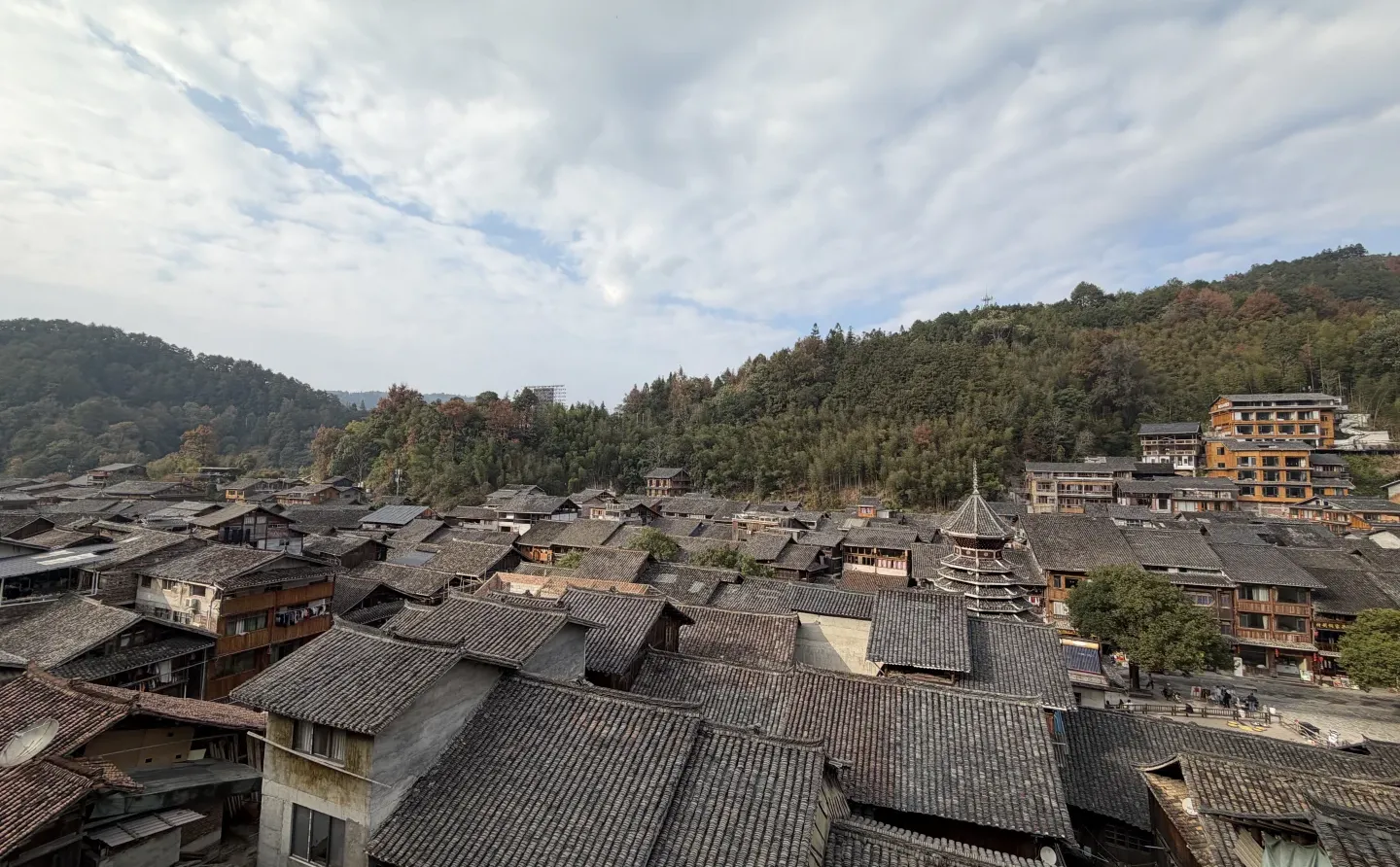 何洁脸侗了