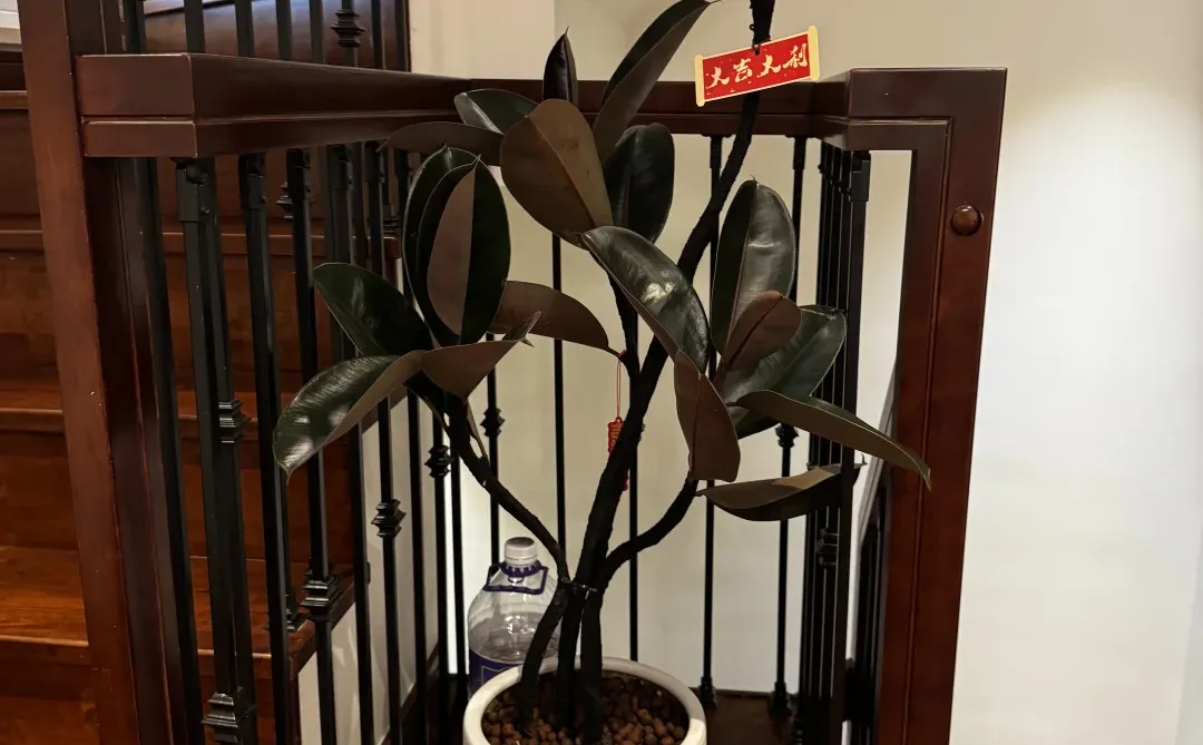 今日份送达-青浦