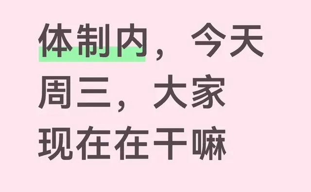 体制内，今天周三，大家现在在干嘛体制内