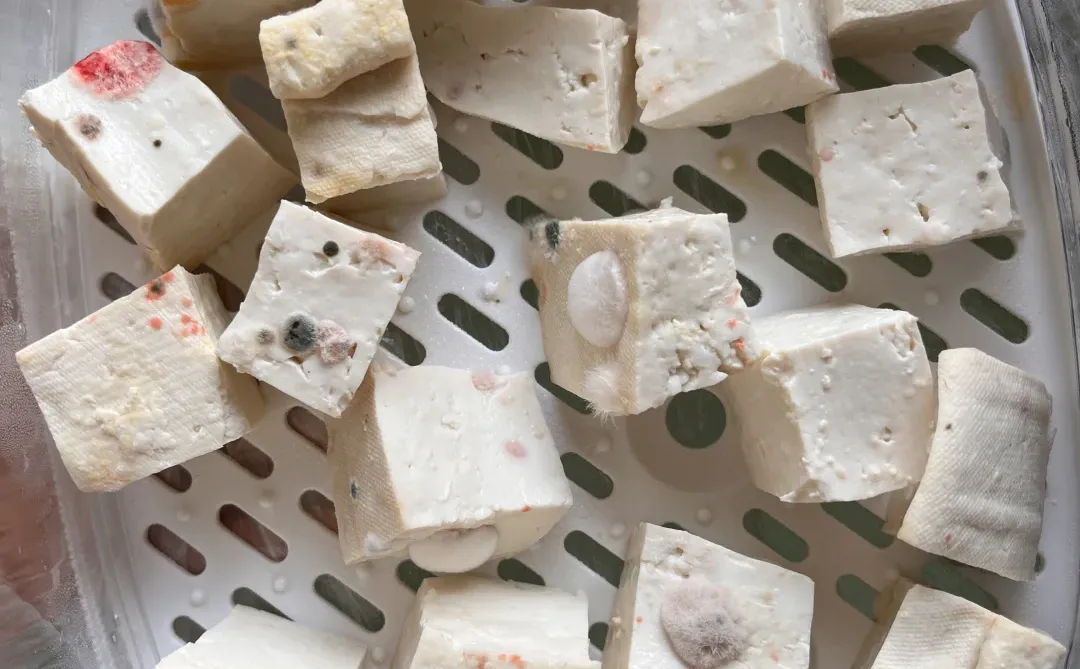 失败两次啦 第三次中