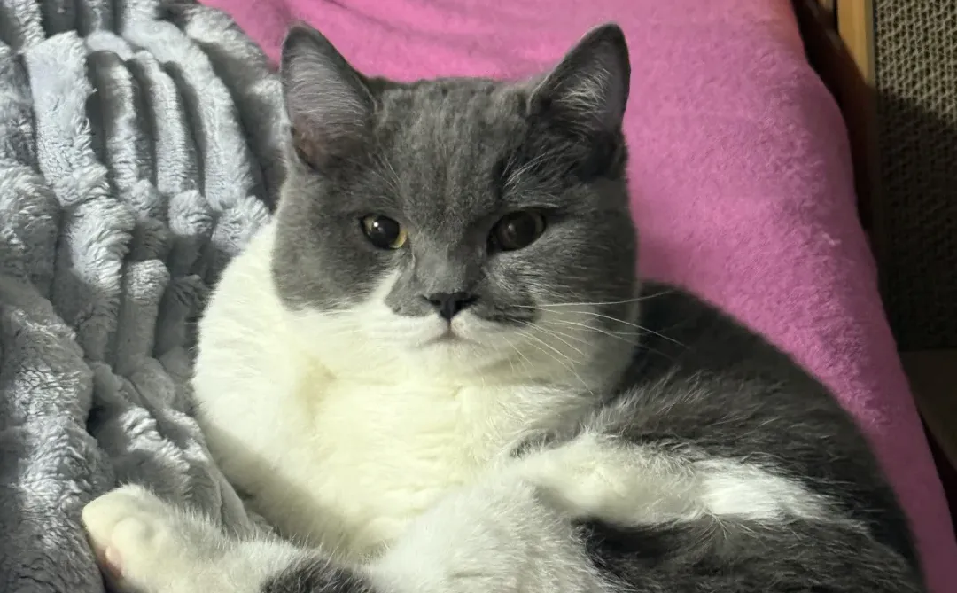 室友晚上不洗脚怎么办