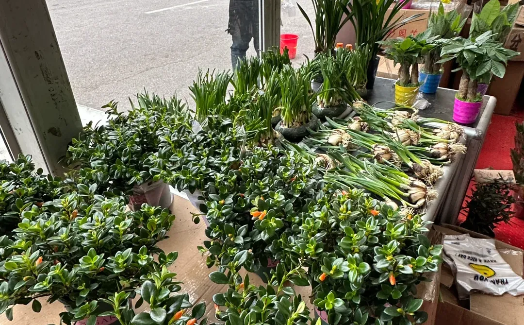 我靠我靠我靠！！！北京开了开了开了。。。