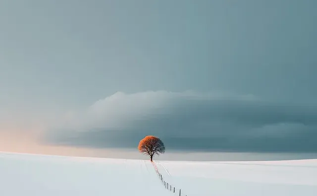 审美积累｜fernlichtsicht